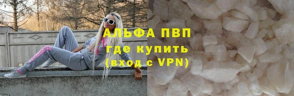прущие грибы Михайловка