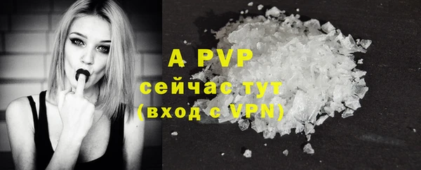 прущие грибы Михайловка