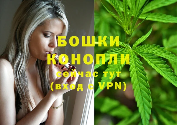 дурь Михайловск