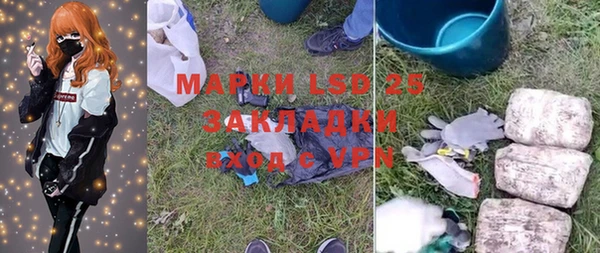 прущие грибы Михайловка