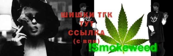 прущие грибы Михайловка