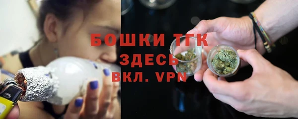 прущие грибы Михайловка
