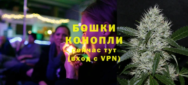 прущие грибы Михайловка