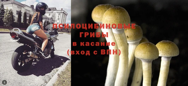 дурь Михайловск